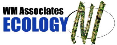 EcologyNI